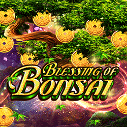 PAWIN88x HOTD slot Blessing of Bonsai