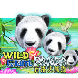 PAWIN88x JK slot Wild Giant Panda