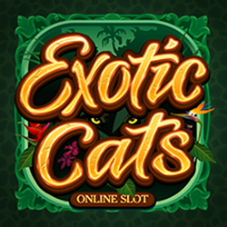 PAWIN88x MG slot Exotic Cats