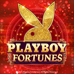 PAWIN88x MG slot Playboy Fortunes ™