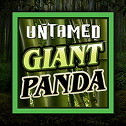 PAWIN88x MG slot Untamed - Giant Panda
