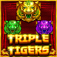 PAWIN88x PP slot Triple Tigers