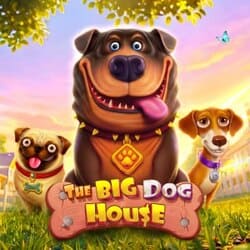 PAWIN88x PP slot The Big Dog House