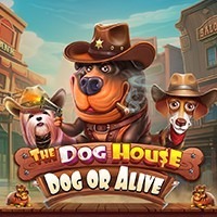 PAWIN88x PP slot The Dog House – Dog or Alive
