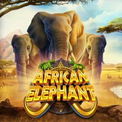 PAWIN88x PP slot African Elephant