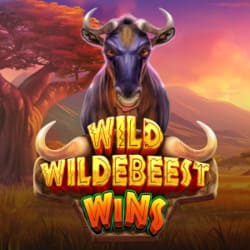 PAWIN88x PP slot Wild Wildebeest Wins