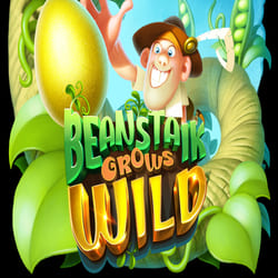 PAWIN88x RELAX slot Beanstalk Grows Wild